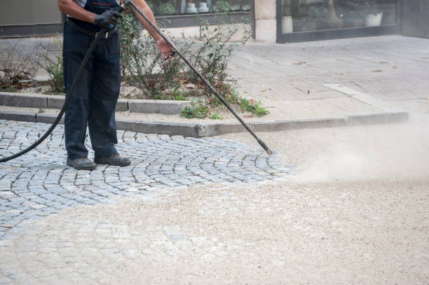 Best Pre-Holiday Cleaning  in New York Mills, NY
